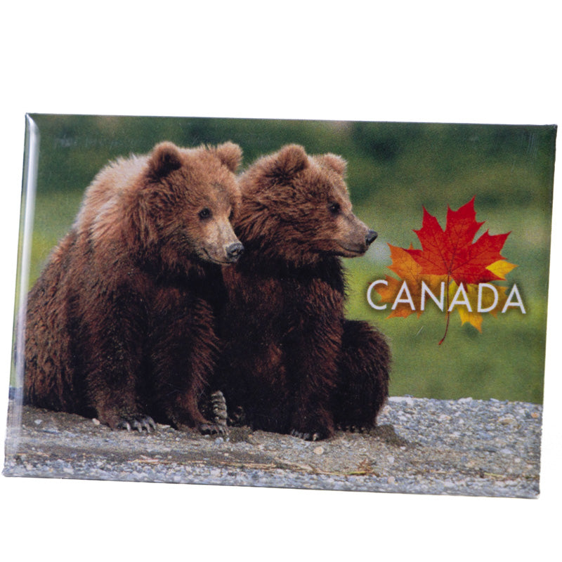 Photo Magnet Canadian Bear Cubs 2" x 3"