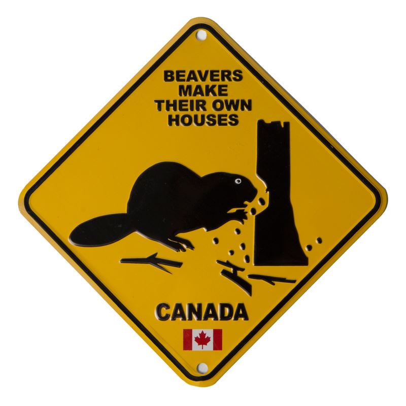 License Plate - Beavers make their own houses