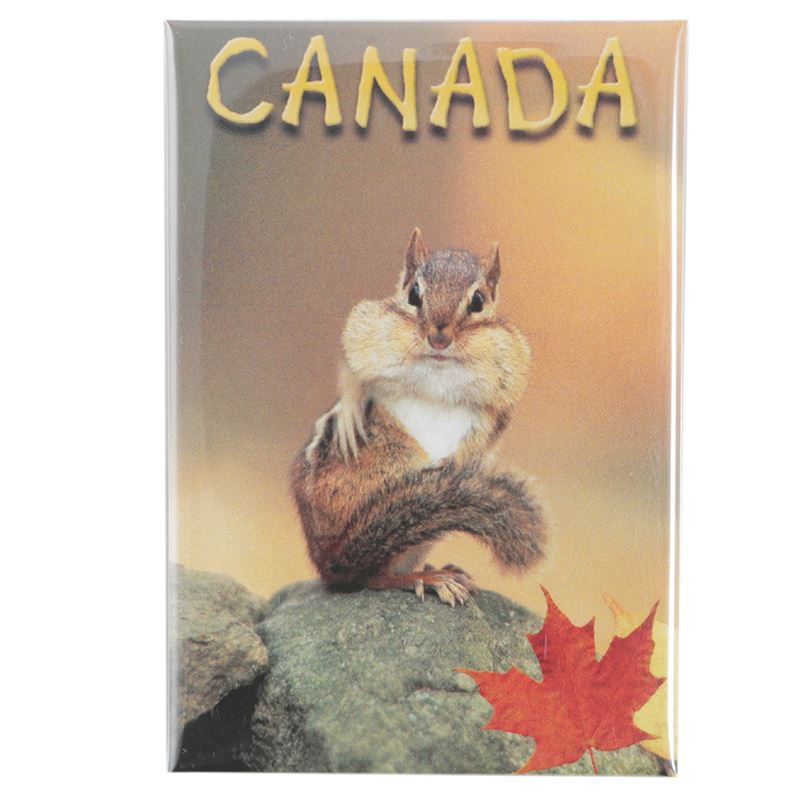 Photo Magnet - Oh Nuts 2" x 3"