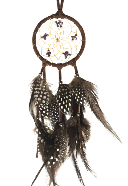 Dream Catcher - Polka Dot Plumage - Brown - 2.5"