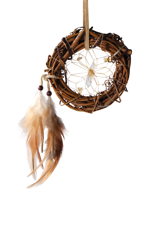 Dream Catcher - Twig Vision Seeker - 3.25"