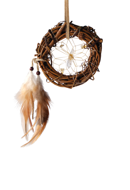 Dream Catcher - Twig Vision Seeker - 3.25"