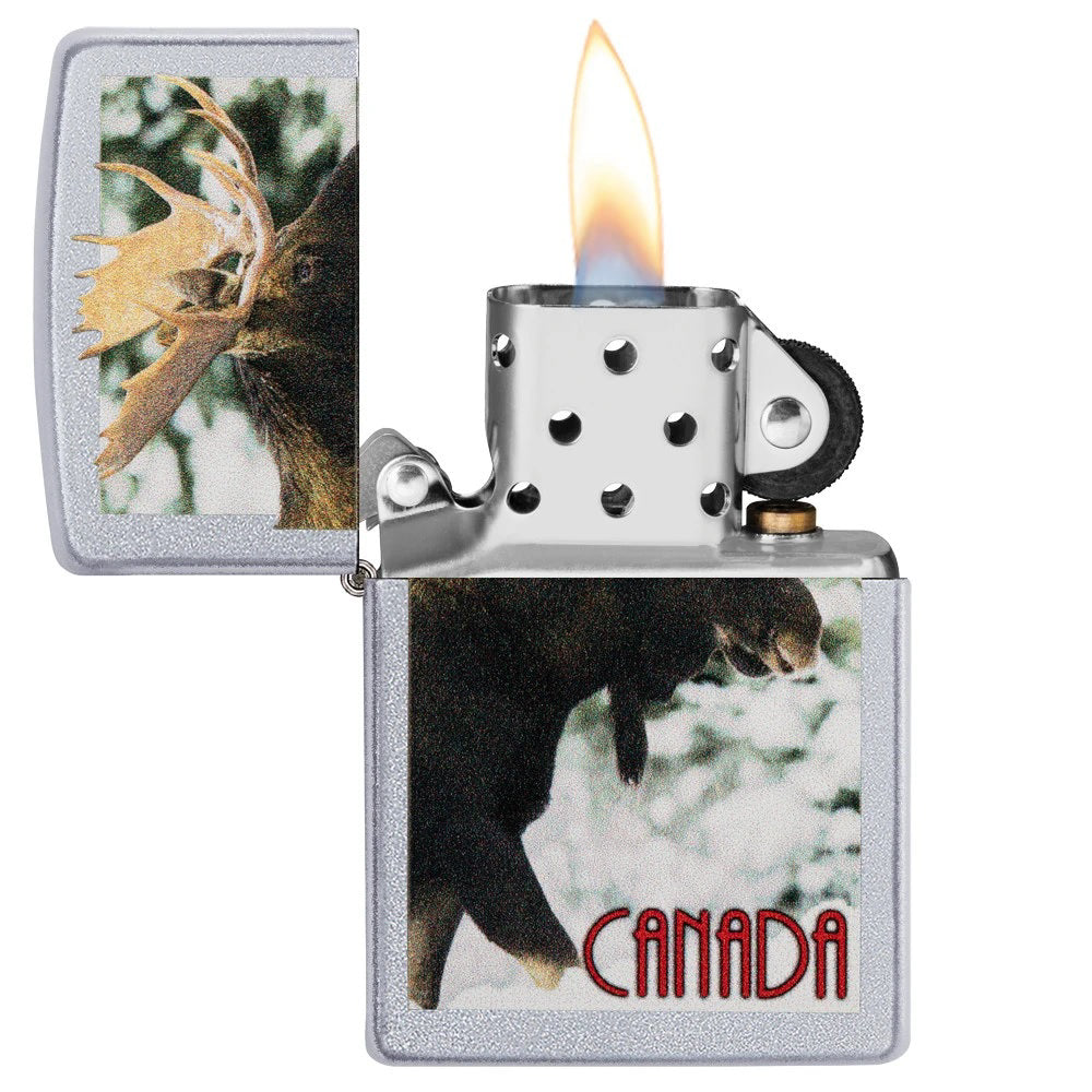 Zippo - Canada Moose