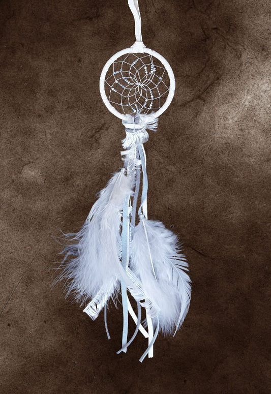 Seasons Dream Catcher - Winter - 2.5"