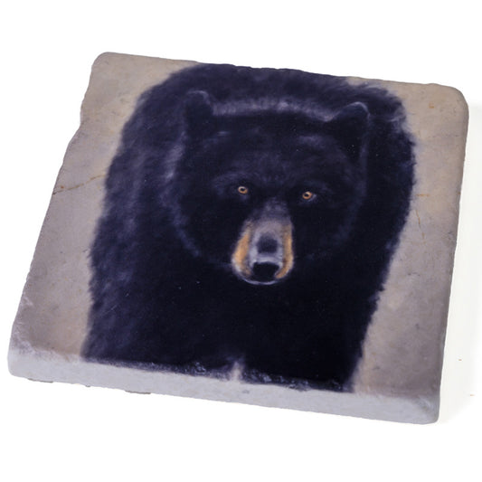 Canadian Black Bear - Marble Coaster