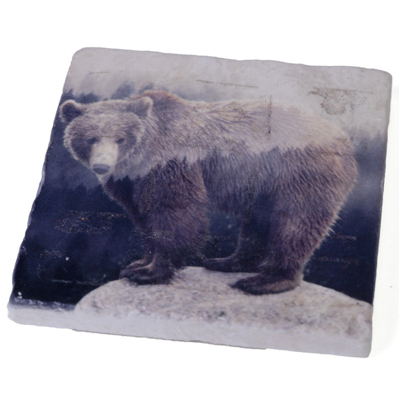 Canadian Grizzly Bear - Marble Coaster