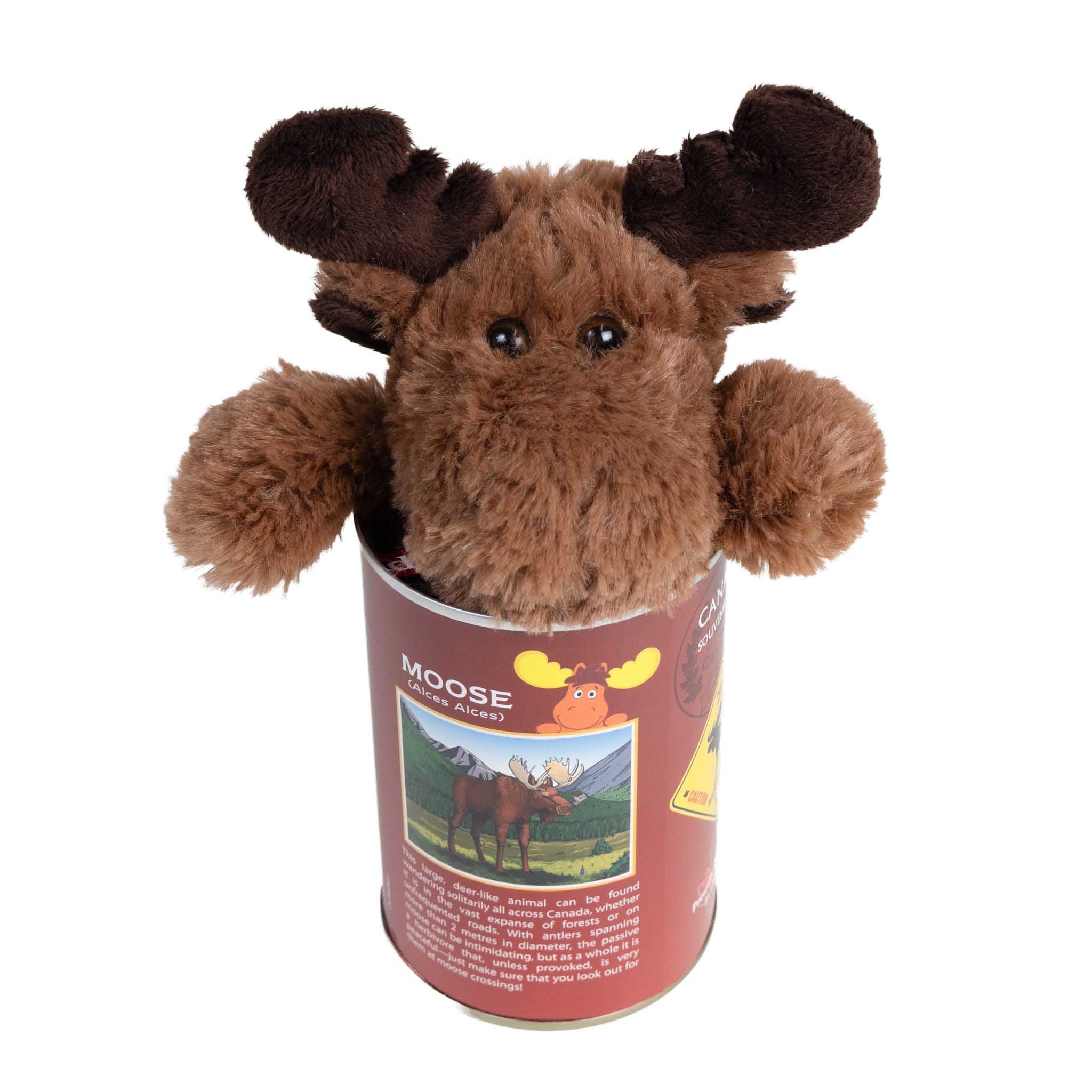 Canadian Moose head peeking out of can