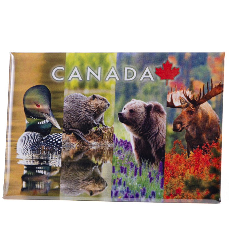 Photo Magnet Canadian Iconic Animals 2" x 3"